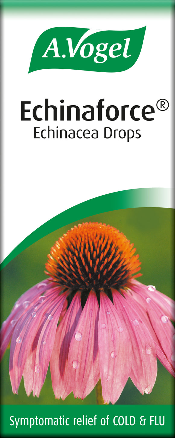 Echinacea Drops